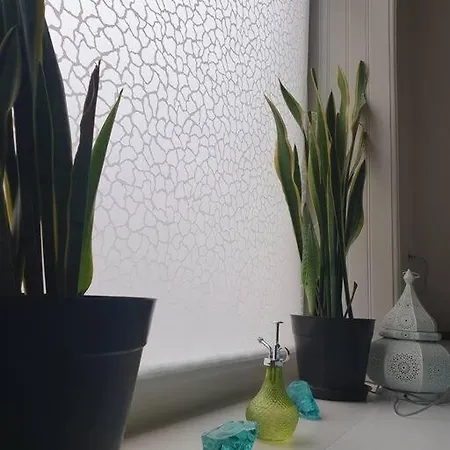 Gemuetlicher Rueckzugsort Mit Orientalischem Flair