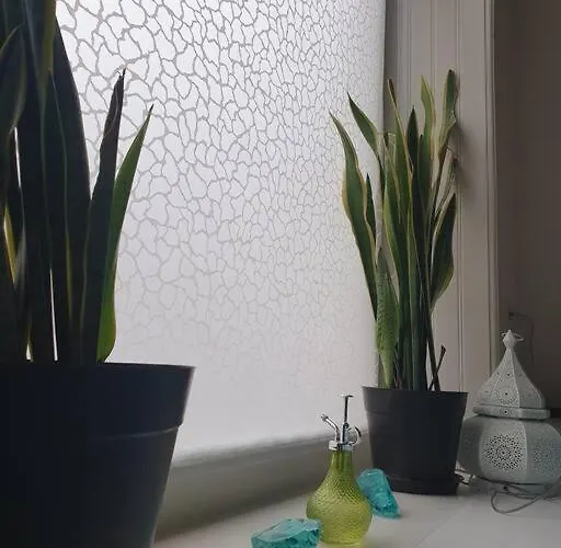 Gemuetlicher Rueckzugsort Mit Orientalischem Flair